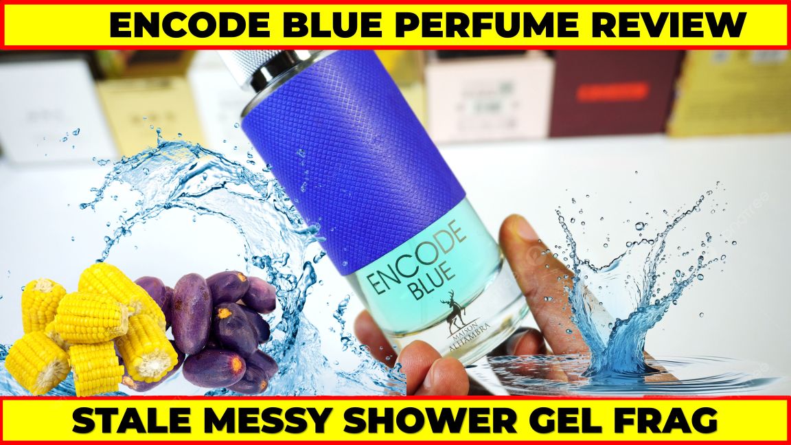 Maison Alhambra Encode Blue Review Mont Blanc Explorer Ultra Blue Dupe